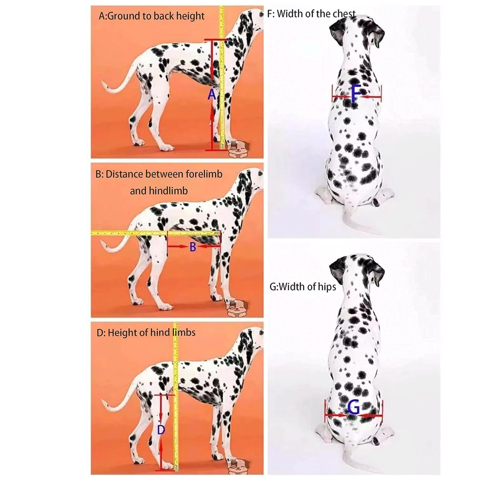 Amazon.co.jp: 調節可能なペット用車椅子 アルミ犬用車椅子 後ろ足用